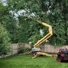 Best Pest Control for Lawns  in Smithfield, UT